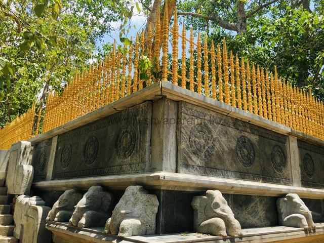 Vishvaparami_srimahabodhi_anuradhapuara_ (11)
