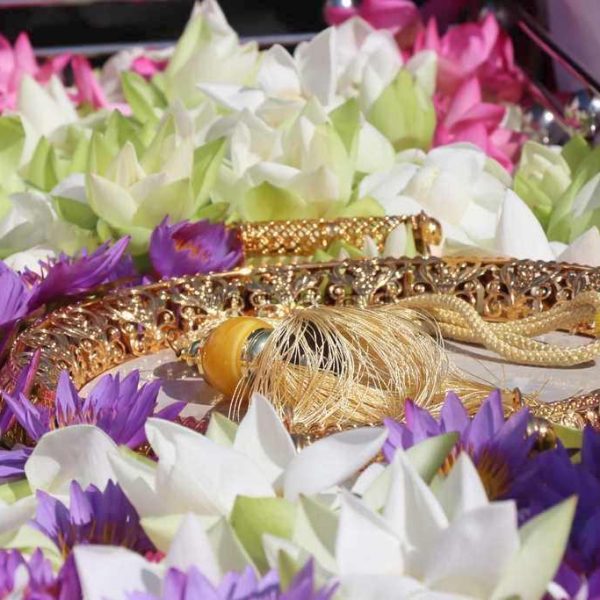 vishvaparami_ruwanweliseya_goldpuja(144)